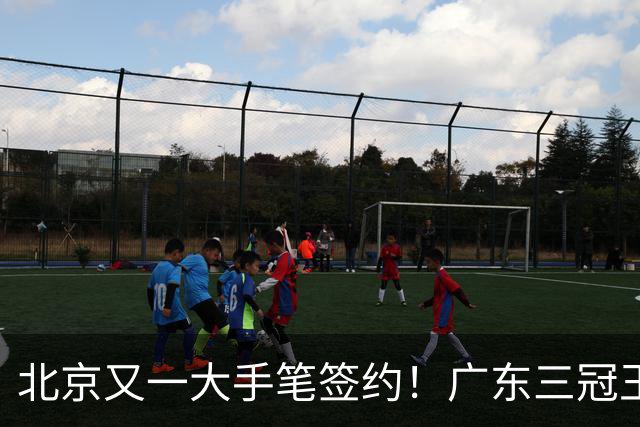 北京又一大手笔签约！广东三冠王功勋伊戈尔加盟，杜锋得力助手联手李楠冲击总冠军